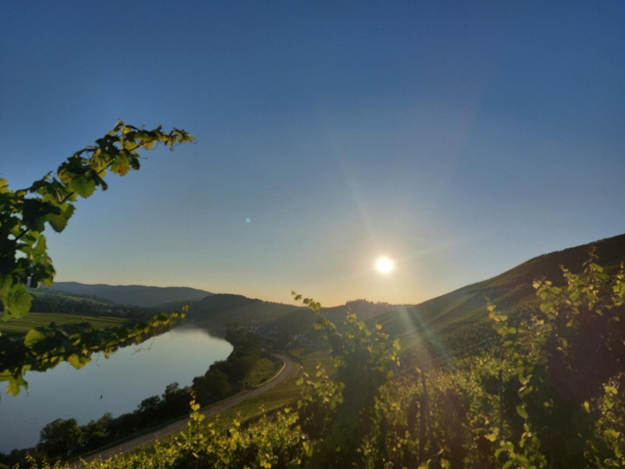Ferienwohnungen Zum Niederberg Lieser Exterior foto