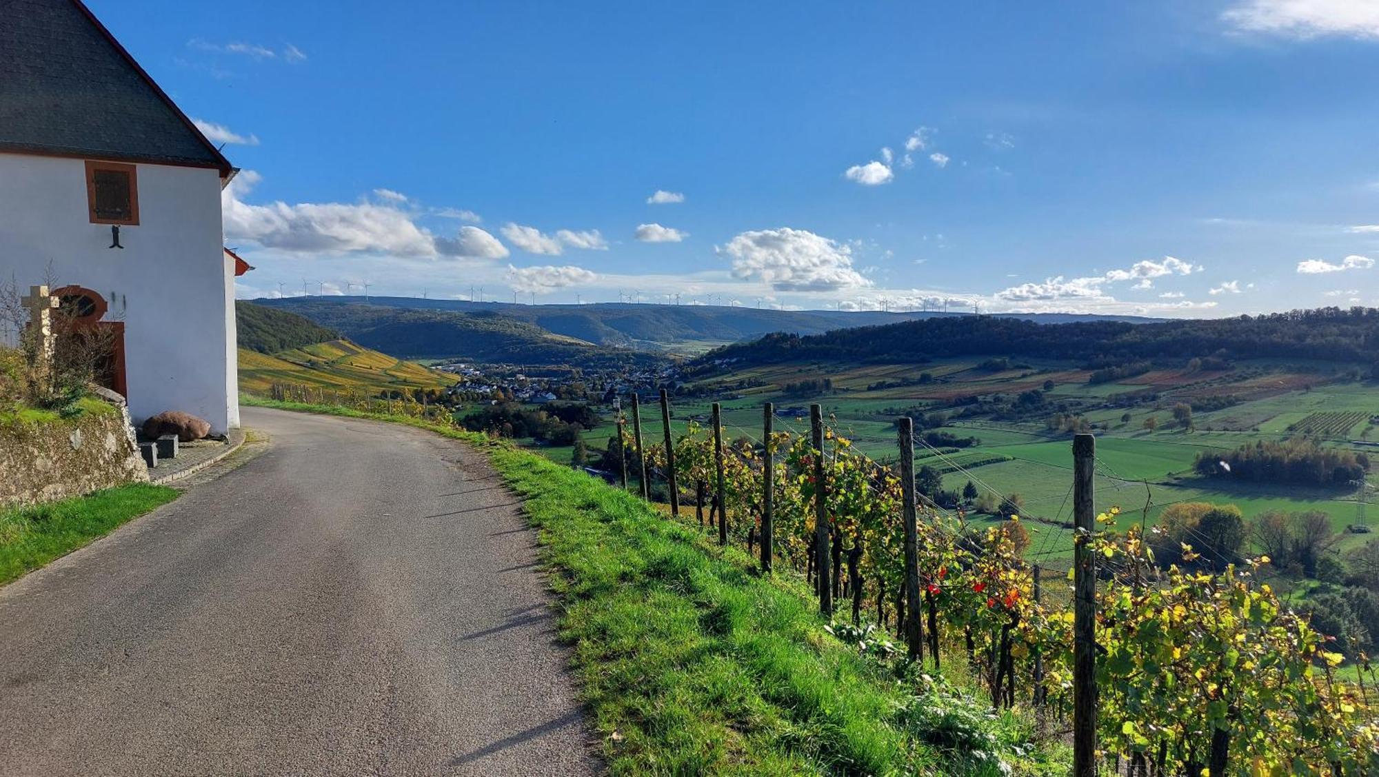 Ferienwohnungen Zum Niederberg Lieser Exterior foto